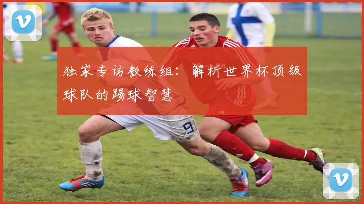 独家专访教练组：解析世界杯顶级球队的踢球智慧