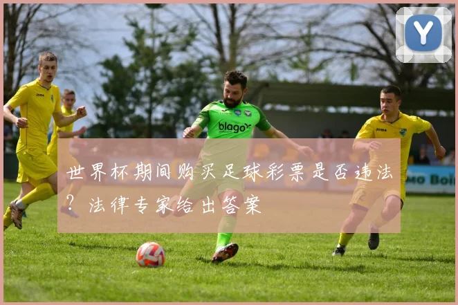 世界杯期间购买足球彩票是否违法?法律专家给出答案