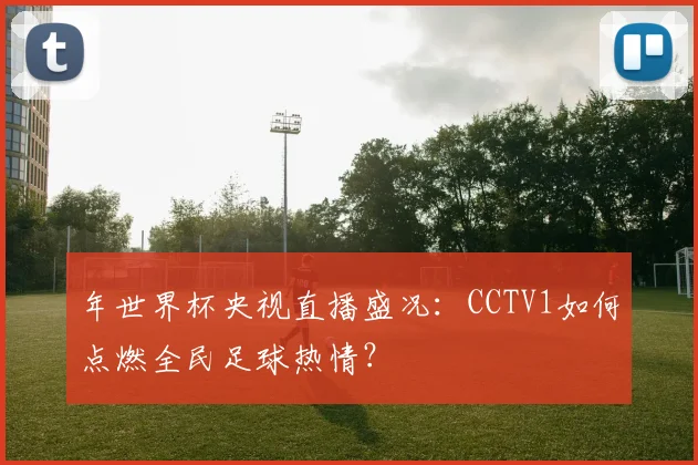 年世界杯央视直播盛况:CCTV1如何点燃全民足球热情?