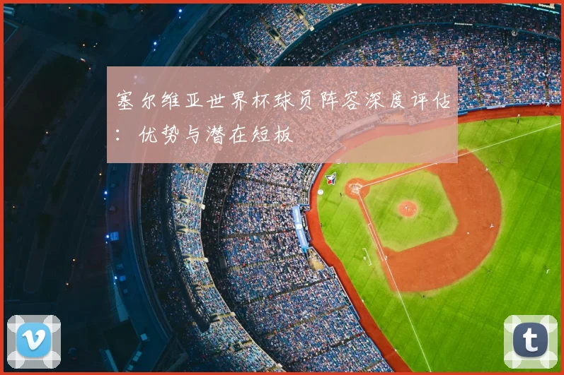 塞尔维亚世界杯球员阵容深度评估：优势与潜在短板