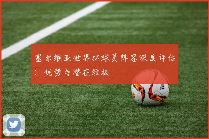 塞尔维亚世界杯球员阵容深度评估：优势与潜在短板