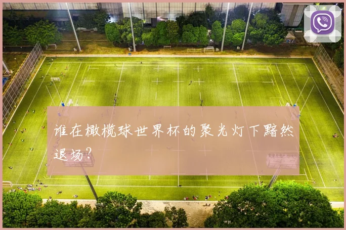 谁在橄榄球世界杯的聚光灯下黯然退场？